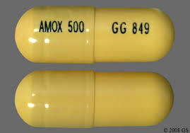 Amoxycline Capsule
