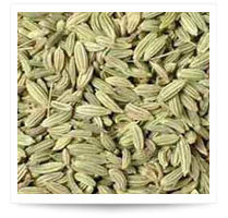 Fennel Seeds