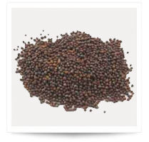 Mustard Seeds