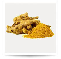 Turmeric Powder