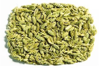 Fennel Seeds