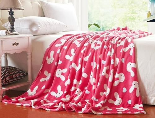 Coral Fleece Blanket 