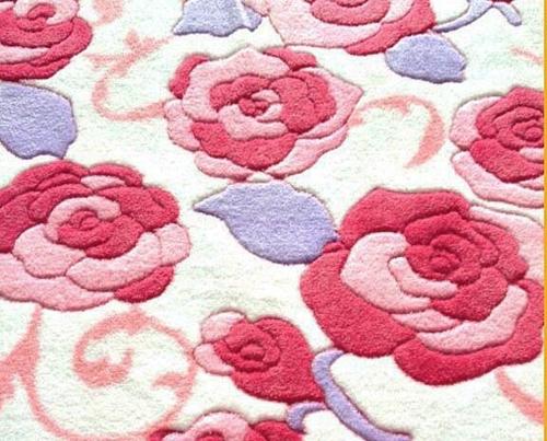 Coral Fleece Fabric 