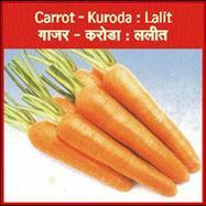 Carrot Seed