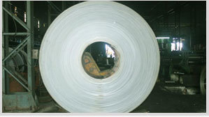 ऑरेंज हॉर्प कॉइल ऑयल एंड पिकल्ड