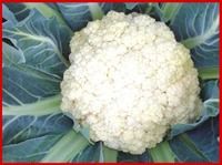 Hybrid Cauliflower