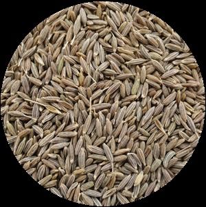 Cumin Seeds 