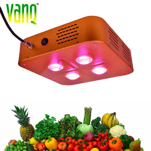 300W LED Grow Lighting for Plant Growing