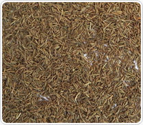 Cumin Seeds