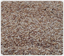 Metal Natural White Sesame Seeds