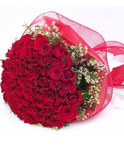 Red Roses bunch with Net Packing