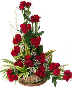 Red Roses One Side Arrangement