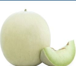 Honey Dew Melon