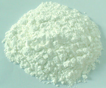 Cationic Starch for Paper Making