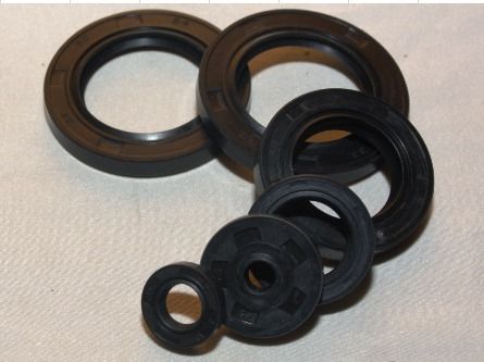 Kit Oil Seal