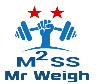 Mr Weigh - Weigh Bridge Online Billing Software With Image