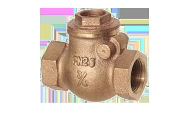 Non Return Valve