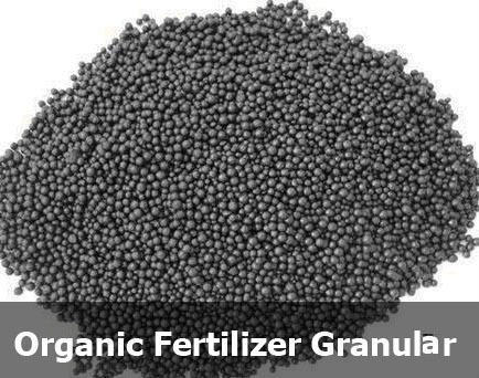 Organic Fertilizer Granules