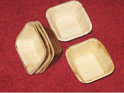 Palm Leaf Plates