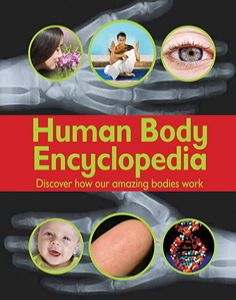 Human Body Encyclopedia Book