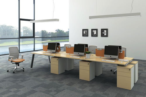 Custom Durable Office Workstation