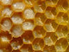 Nature Honey