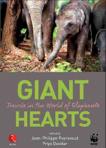 Giant Hearts Book