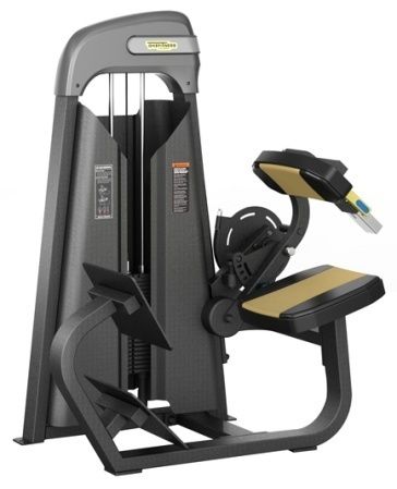 Luxury Commercial Back Extension and Fitness Machine SC-819