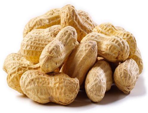 Peanuts