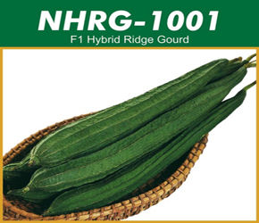 Hybrid Ridge Gourd Seeds