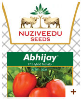 Hybrid Tomato seeds