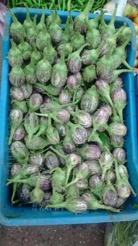 Fresh Brinjal