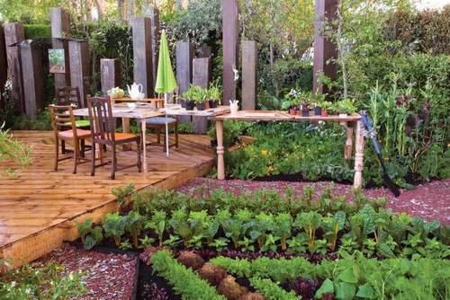 Kitchen Gardening