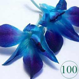Blue Orchids Bouquet