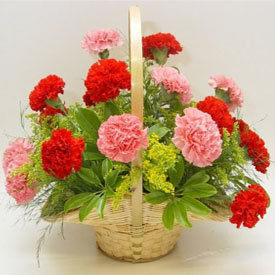 Carnation in Basket