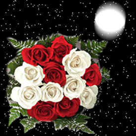 Dozen Red And White Roses Bouquet