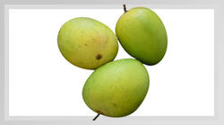 Langra mango pulp puree