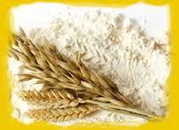 Wheat Flour 