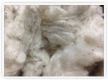 Cotton Fiber Flat Strip