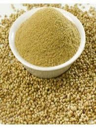 High Quality Coriander Powder