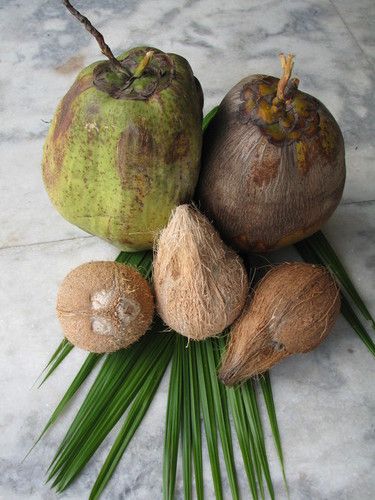 Fresh Matured Coconut