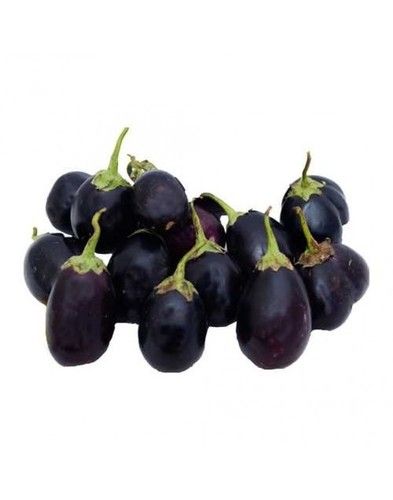 Brinjal