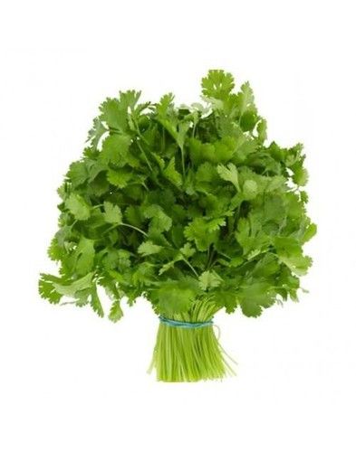 Coriander Leaves