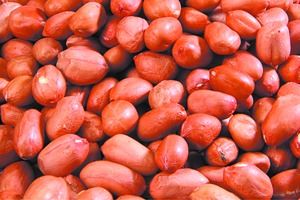 HPS Groundnut