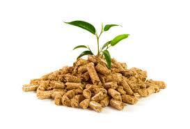 biomass wood pellet