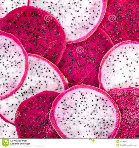 dragon fruit