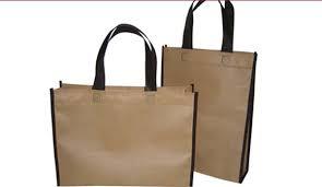 Non Woven Carry Bags