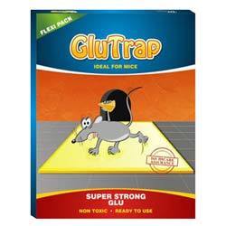 Rodent Glu Trap