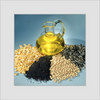 Castor Seed Oil