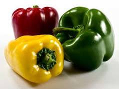 Fresh Capsicum